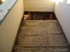 Delores-148.jpg