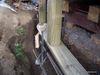 Delores-171.jpg
