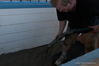 Delores-254.jpg