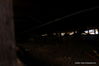 Delores-264.jpg