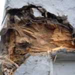 Dry Rot Causing Major Structural Damage